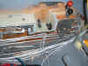 LongEZ Hydraulic 4